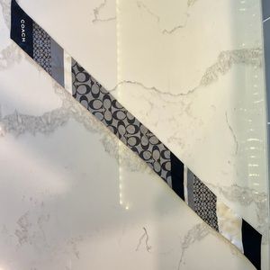 Coach skinny silk scarf